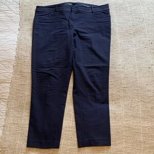 LOFT Navy Blue Skinny Pants Marisa Fit